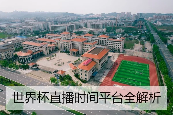 世界杯直播时间平台全解析 | HTH